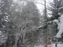 2010-01-26 11-30-32 Domaine d'Autrans-JFi